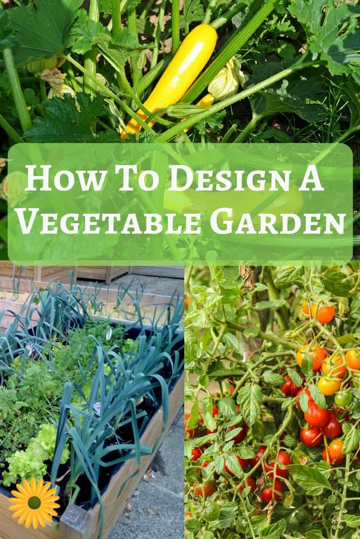 Functional backyard vegetable garden
