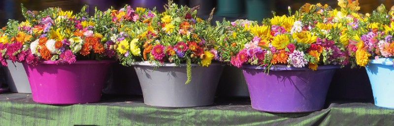 colorful flower pots