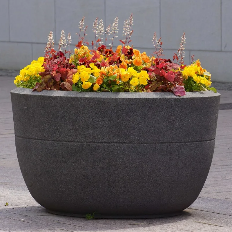 concrete planting flower pot