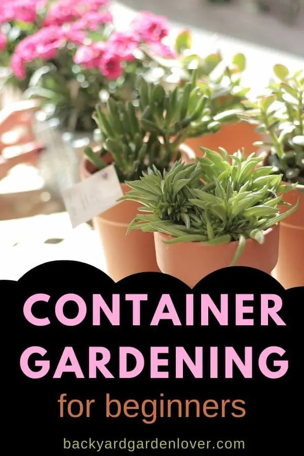 Container gardening for beginners - Pinterest image