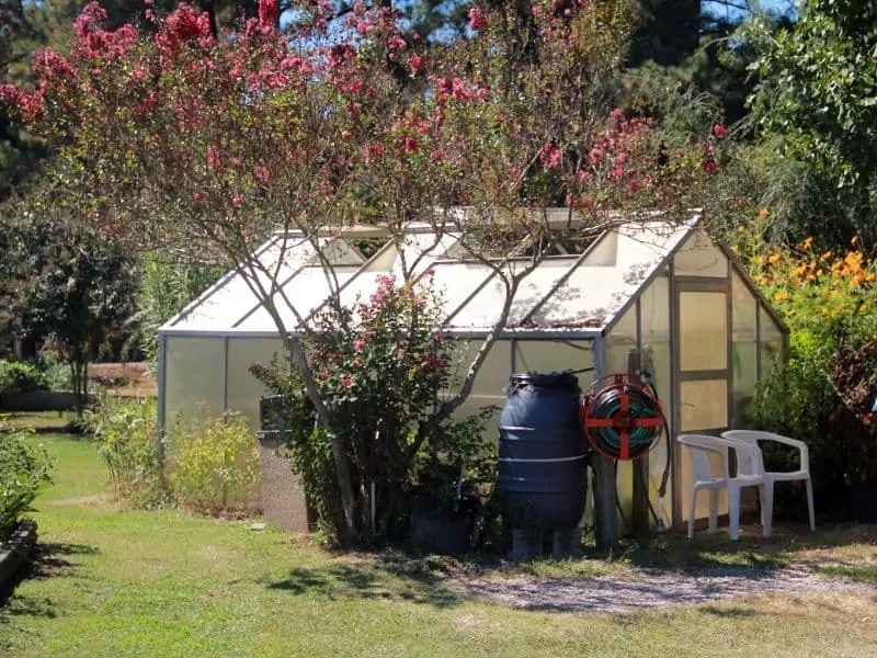 Greenhouse with wooded area in the back