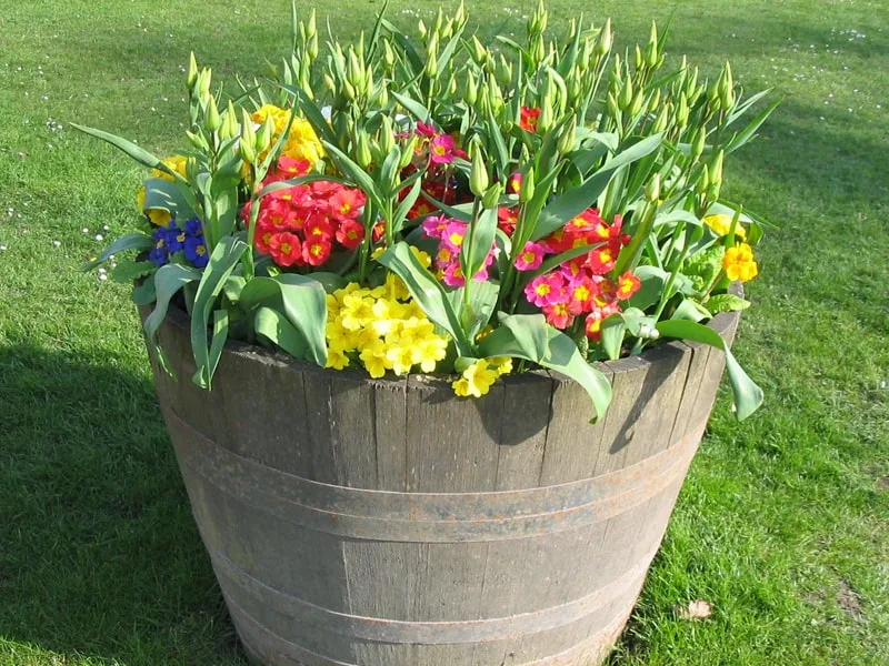 large spring container