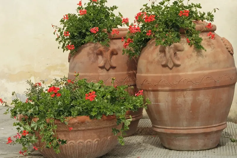 ceramic planters with red flowers