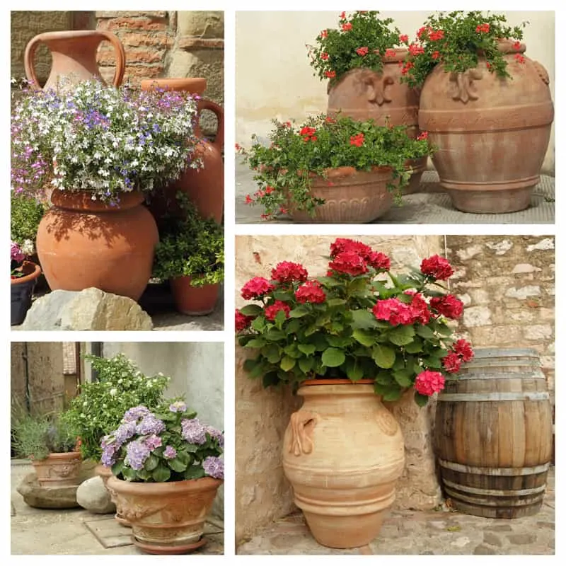 collage of ceramic planters