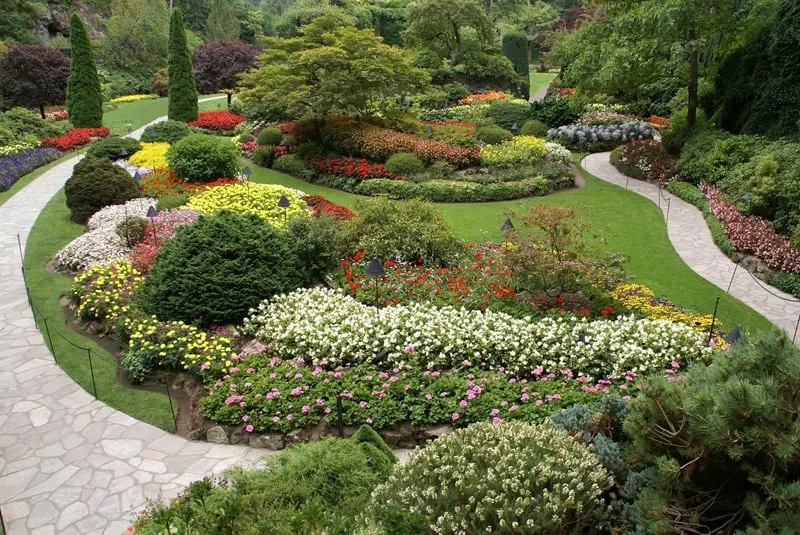 top view of flower gardens and pathways at Butchart Gardens.