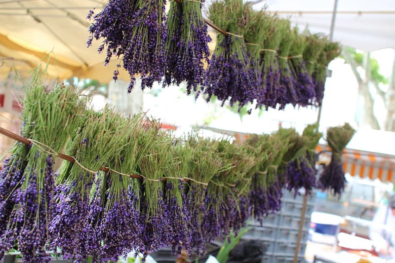 lavender hung out to dry to use in DIY projects