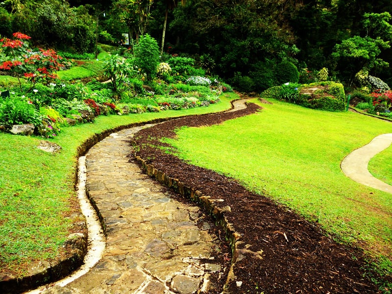 A dirt path in a park.