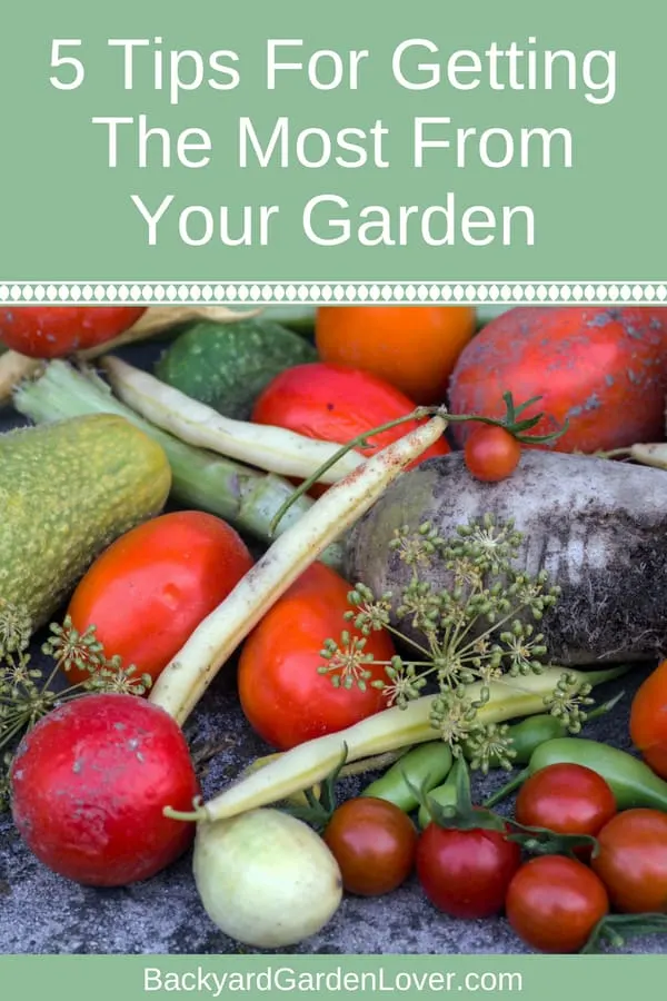 5 tips for getting the most from your garden