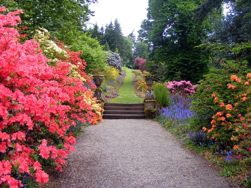 This simple path is made of small gravel and surrounded by stunning azaleas and other brightly colored flowers.