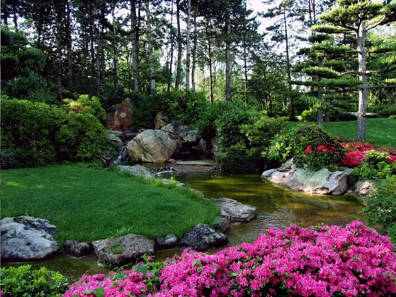 Japanese ornamental garden
