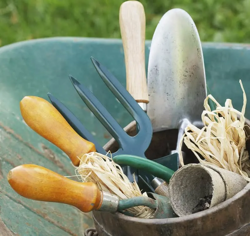 gardening tools in a bucket