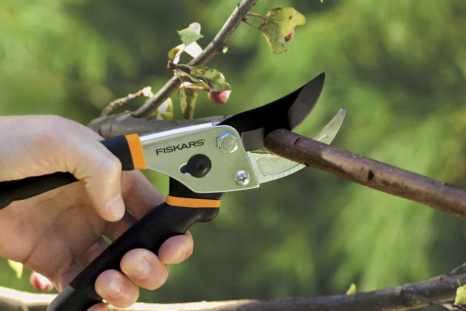 cutting a branch with Fiskars pruning shears