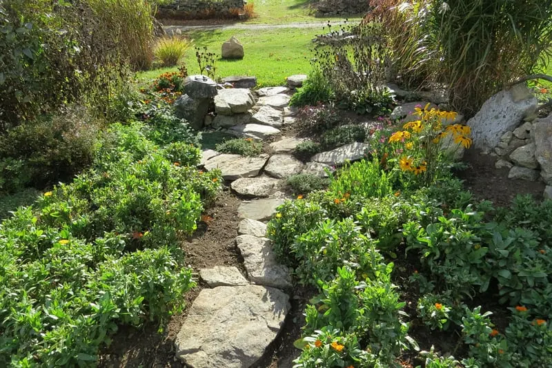 rock path in the garden.