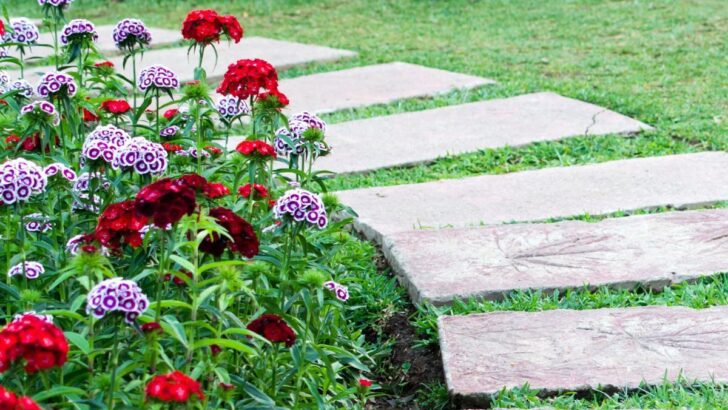 10 Beautiful Backyard Walkway Ideas