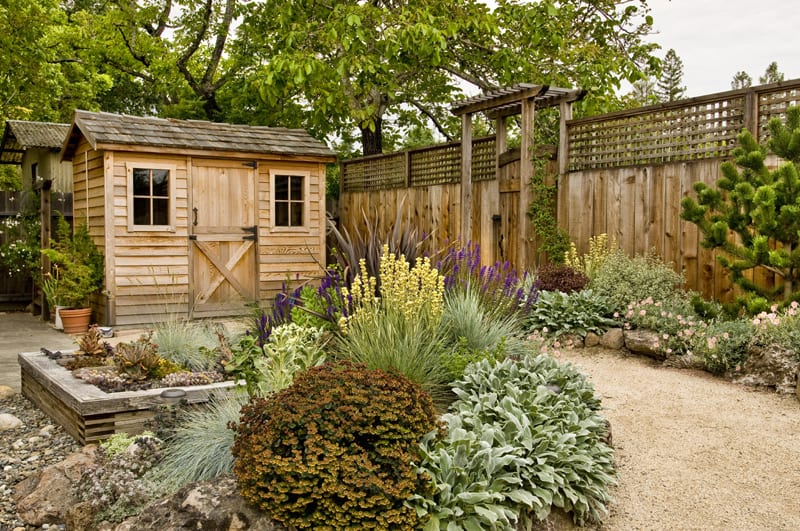 small backyard garden