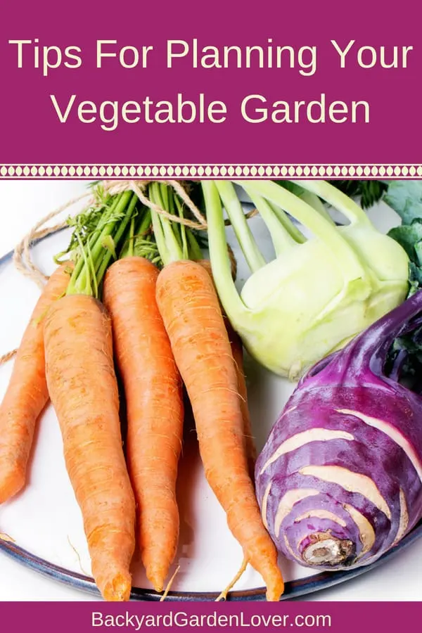 Tips for planning your vegetable garden