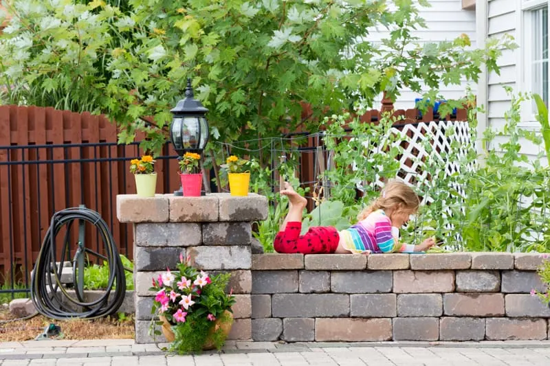 small garden with a stone wall