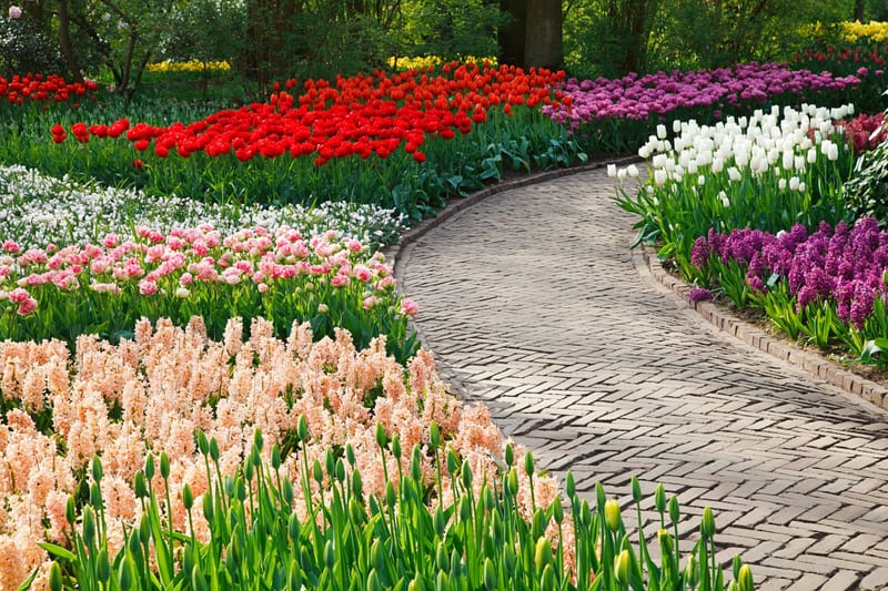 This zig-zagged brick walkway is beautiful and draws in the eye. Adn the nearby flowers are stunning!