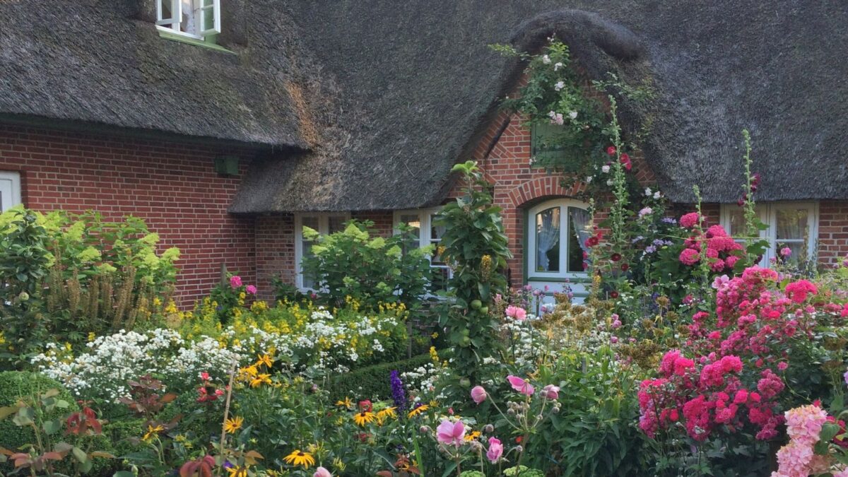 Cottage garden.