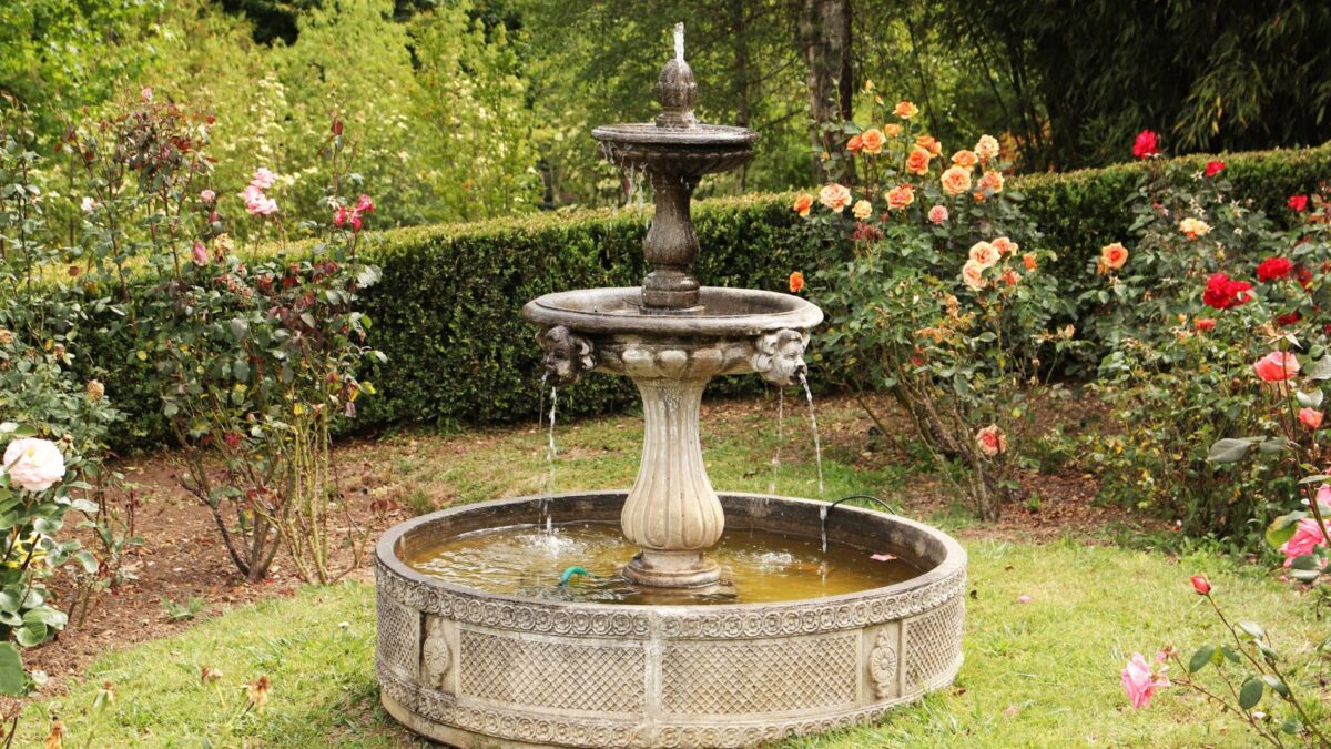 water fountain surrounded by roses