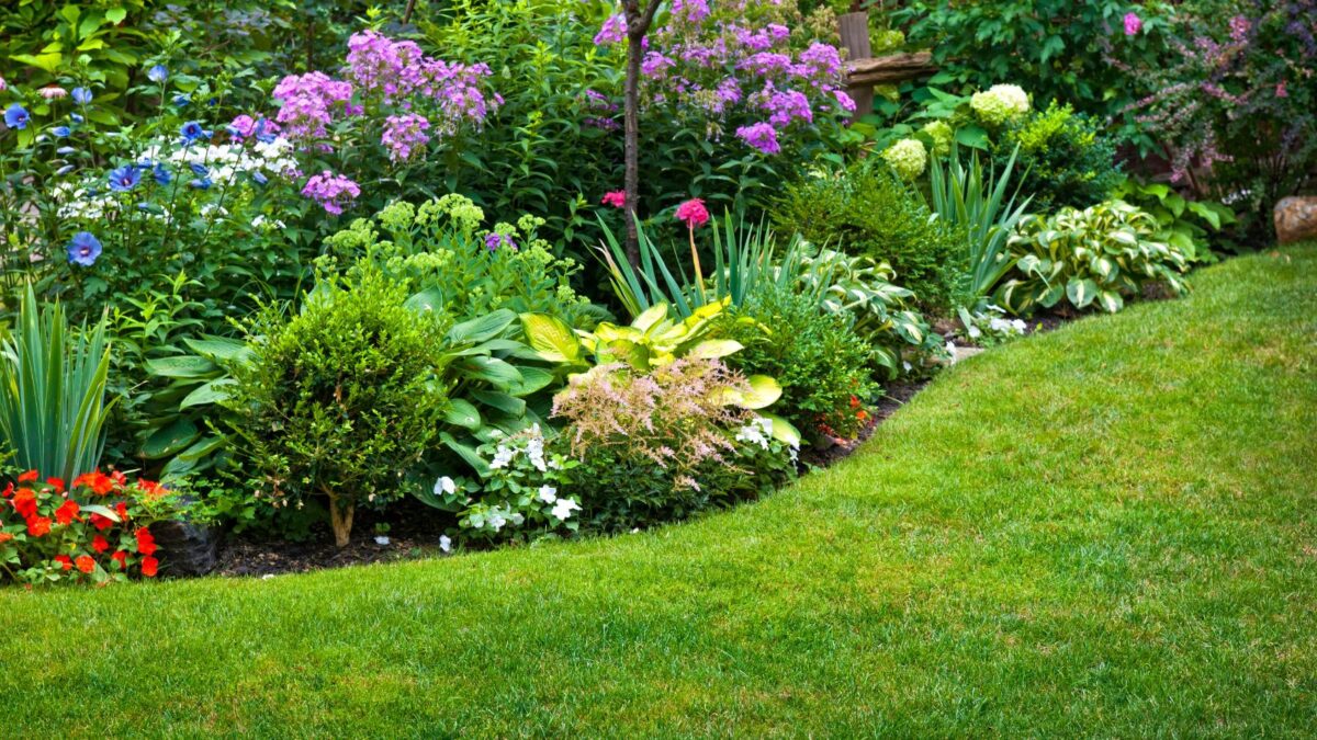 Well manicured lawn in front of a colorful flower bed.