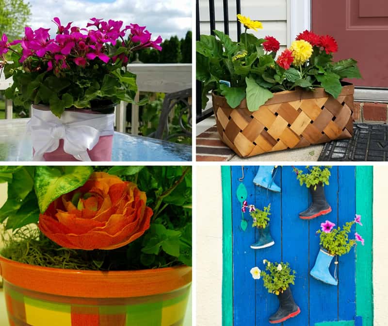 Collage of flower pot ideas that bring color and happiness to your space