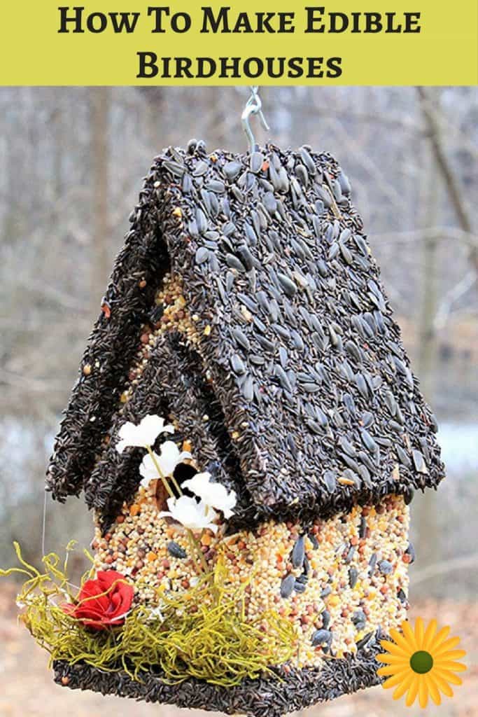 How To Make Edible Birdhouses For Your Feathered Friends