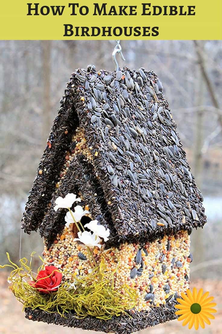 Homemade edible birdhouse