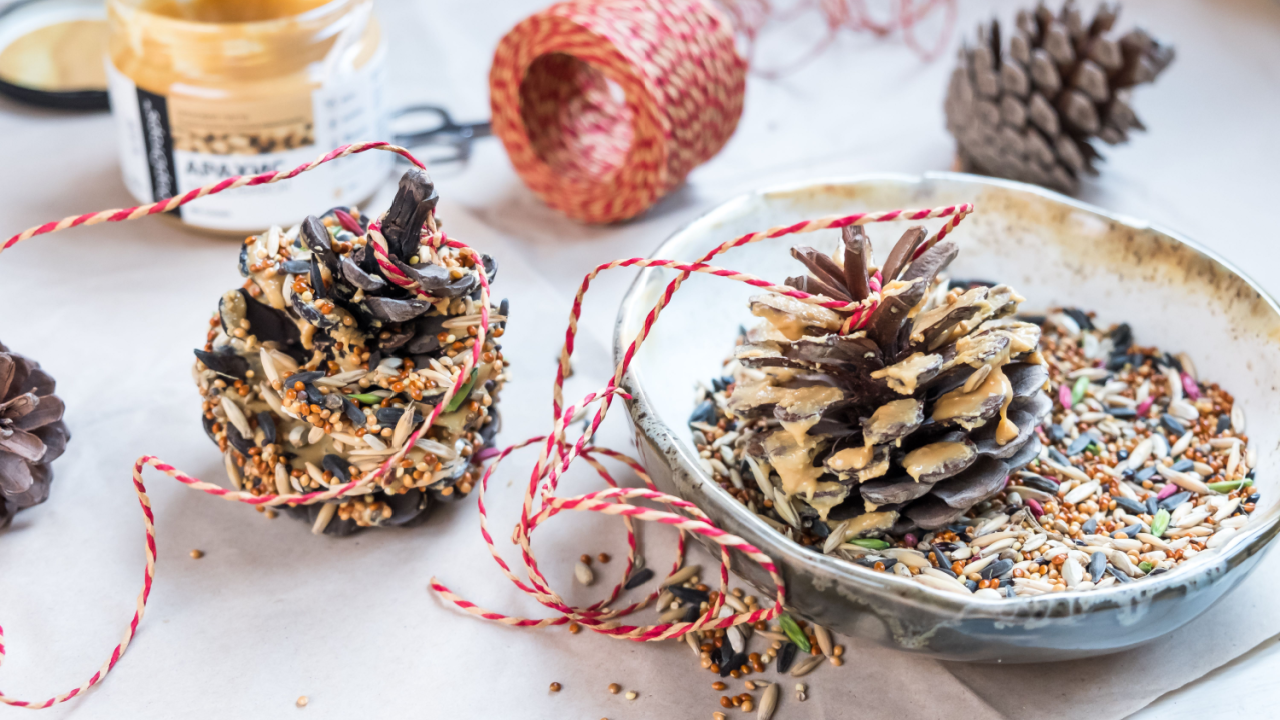 bird seed craft with pine cones and peanut butter