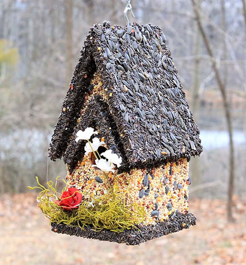 edible birdhouse