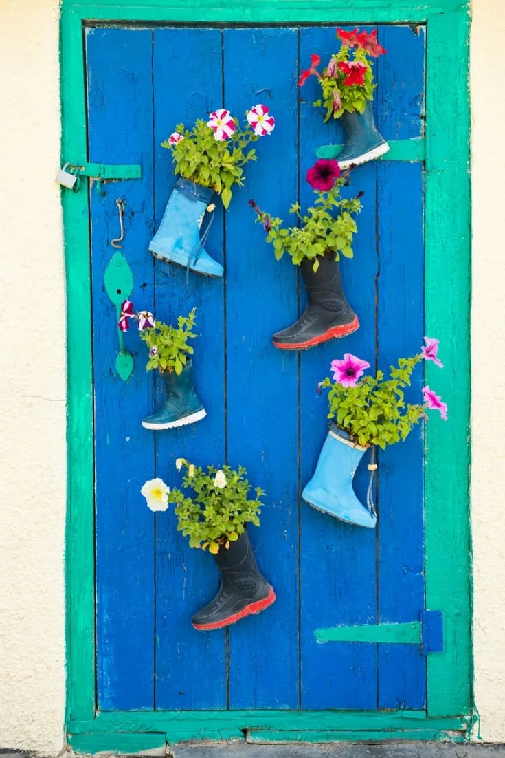 rubber boots used to plant flowers and decorate a colorful door