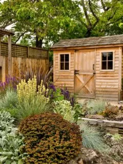 wooden storage shed beautifully landscaped.