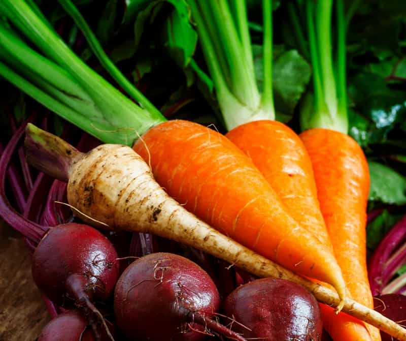 Fresh root vegetables from the garden: beets, parsnip and carrots