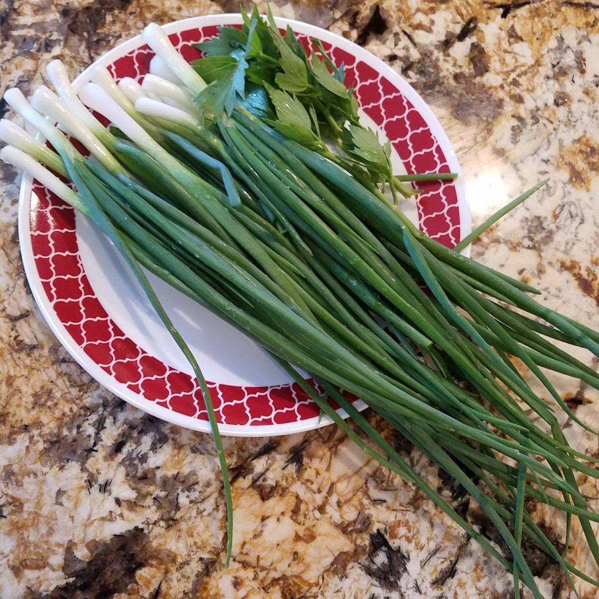 green onions on a pate, cleaned and ready to eat. 