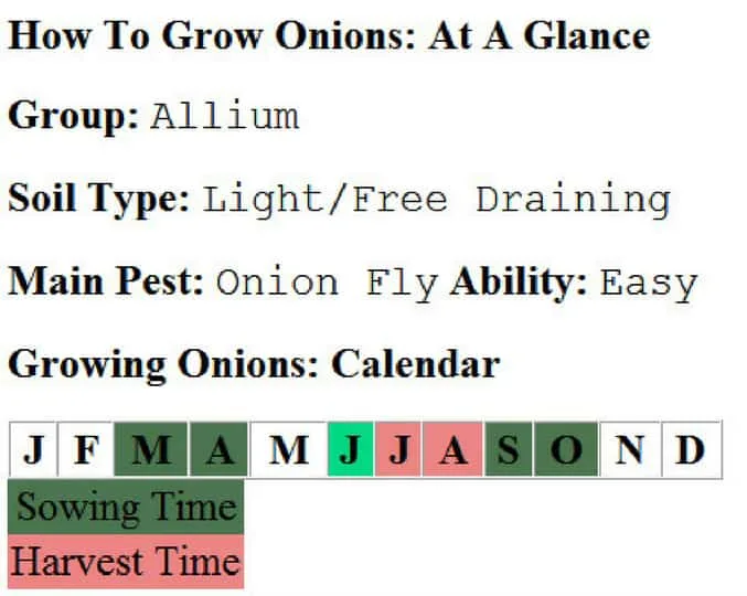 how to grow onions in your garden