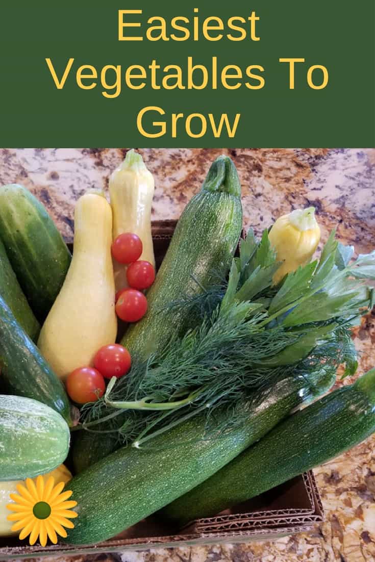 Easiest vegetabels to grow