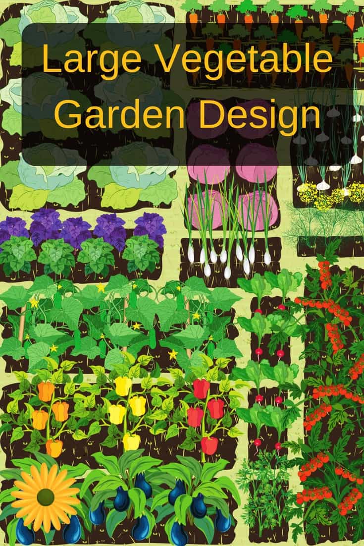 Large vegetable garden design