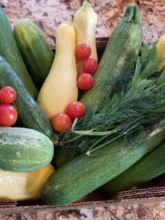 a box of freshly picked vegetables: zucchini, cucumbers, tomatoes and dill.