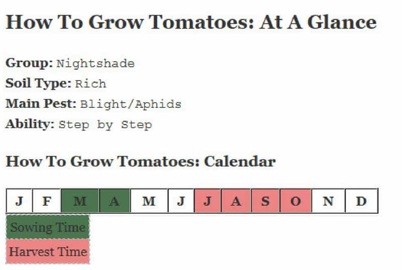 How to grow tomatoes at a glance :)