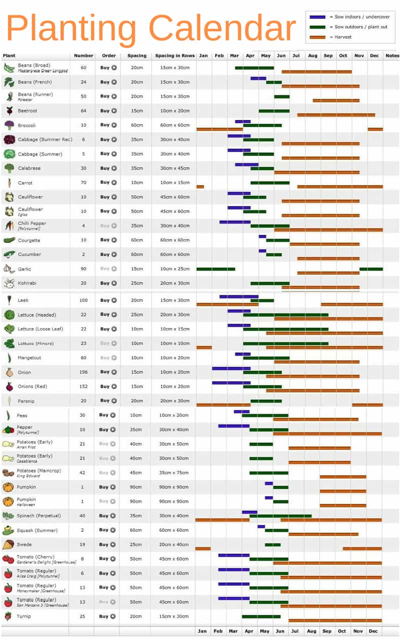 Planting calendar 