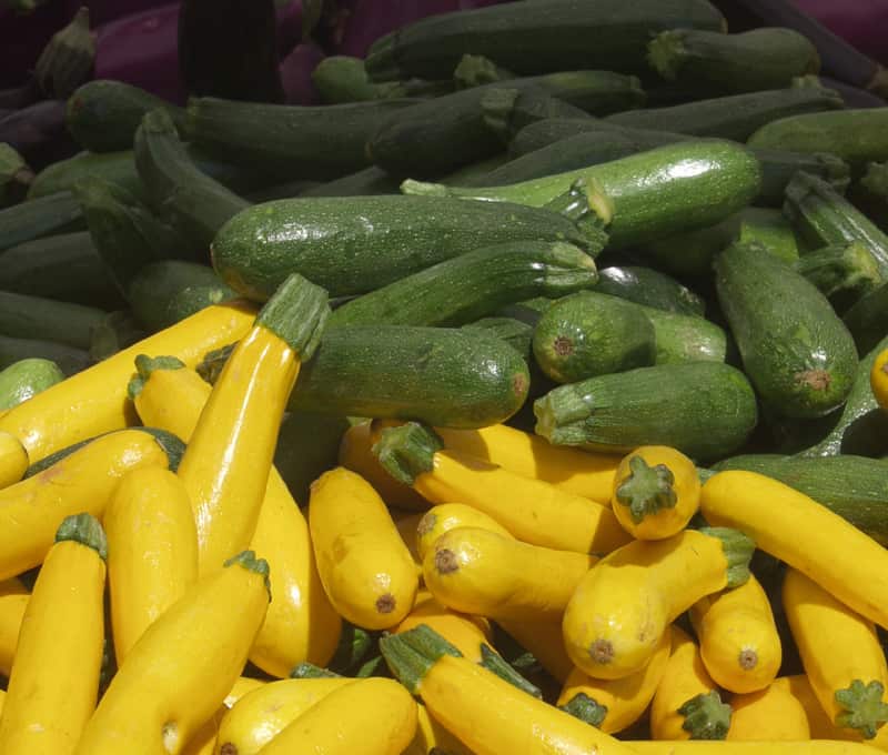 Lots of zucchini: learn how to freeze zucchini for later use