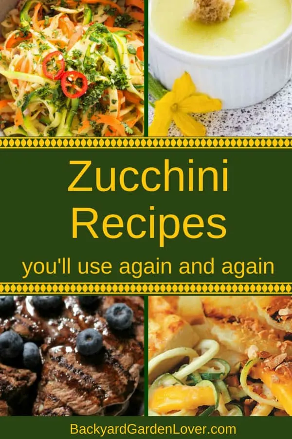 Zucchini recipes you'll use again and again