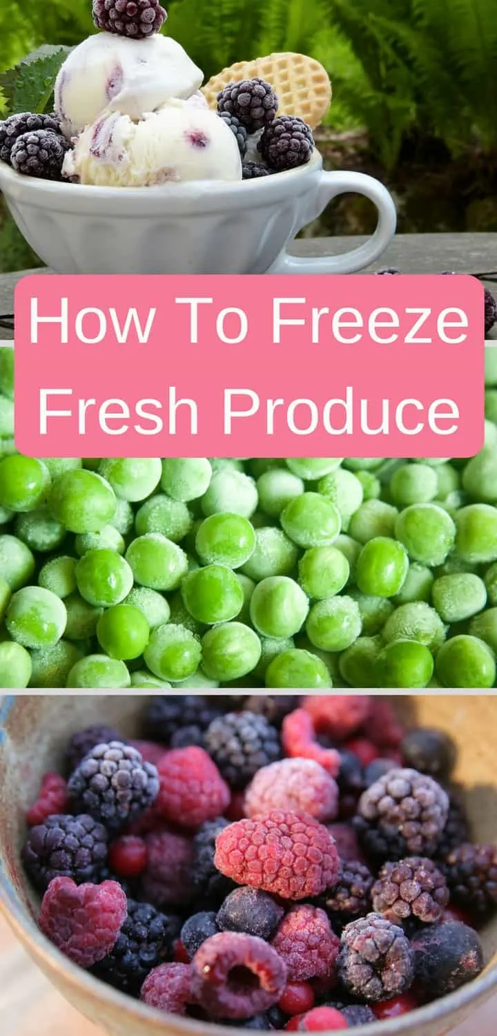 How to freeze fresh produce - Pinterest image