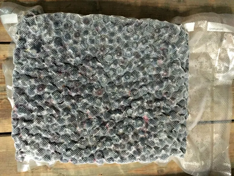 Frozen blueberries in food saver bag