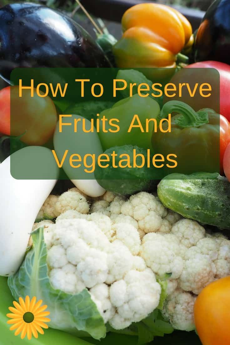 How To Preserve Fruits And Vegetables