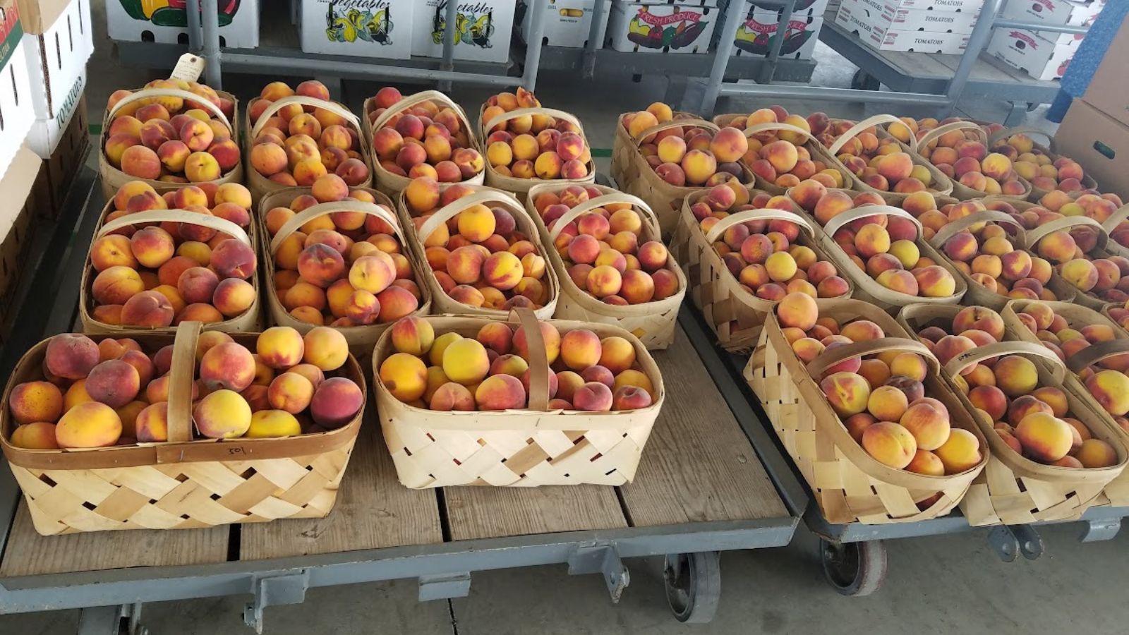 Baskets for freshly picked peaches at the local market.