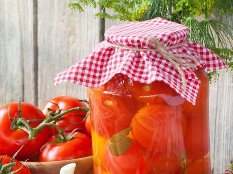 A bowl of tomatoes and a jar of canned tomatoes 