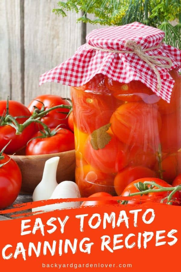 Tomatoes in a bowl and in a jar, preserved for winter