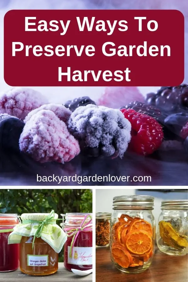 collage of ways to preserve the garden harvest