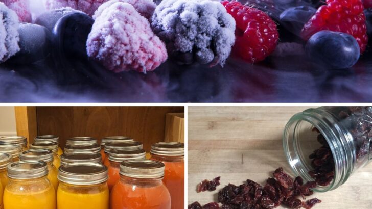 3 Easy Ways To Preserve Garden Harvest